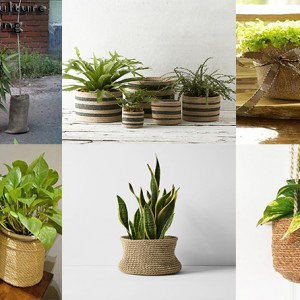 পাটের-পচনরোধক-নার্সারি-পট-(-Rot-Proof-Jute-Nursery-Pot-)